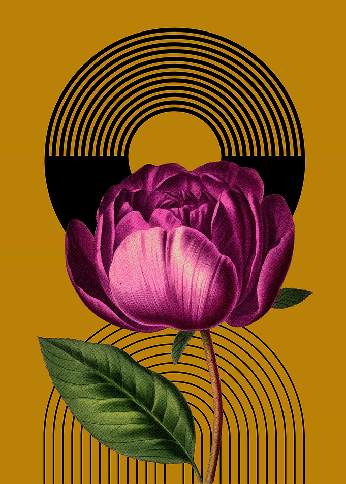 Floral Abstract Art