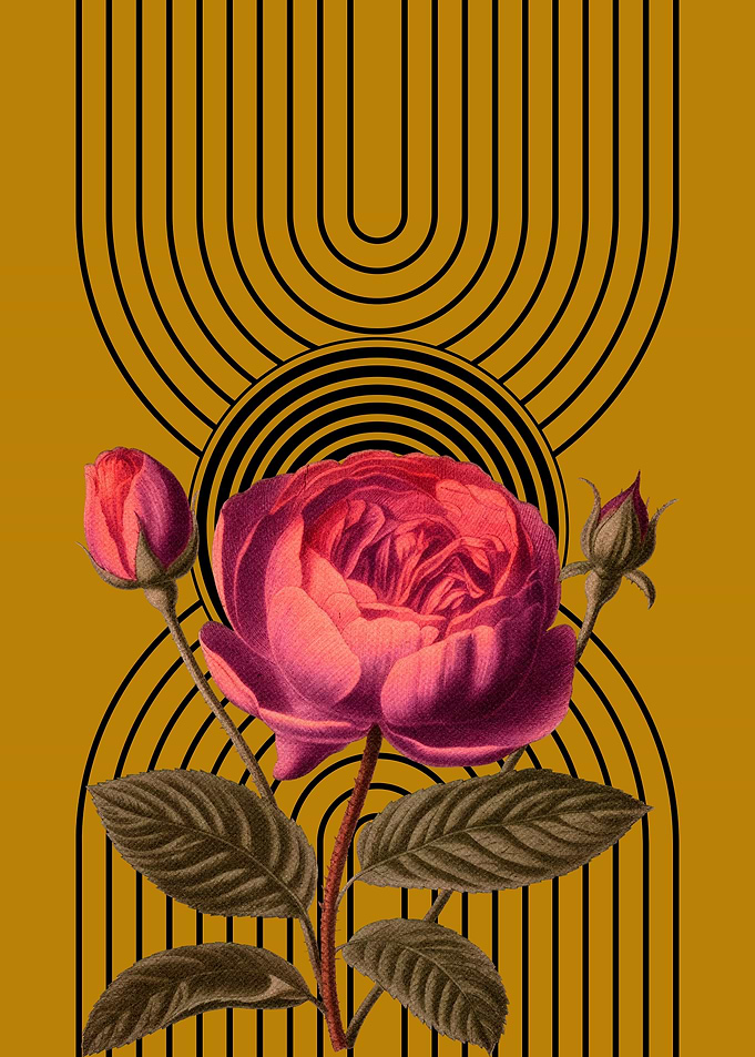 Rose and Arcs