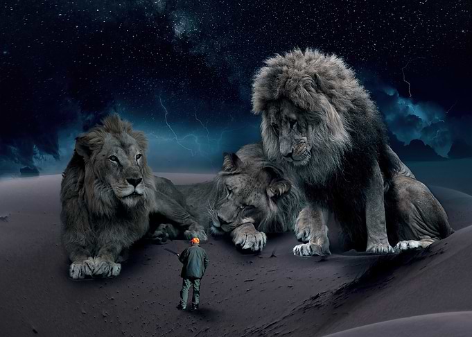 Lions and Hunter