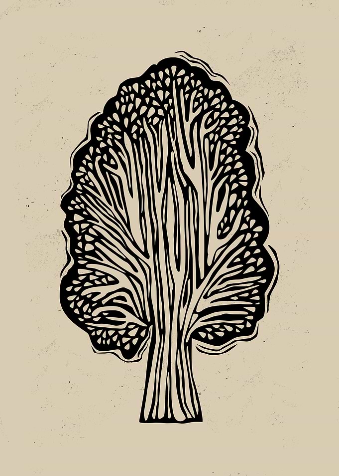 Black and White Tree Illustration
