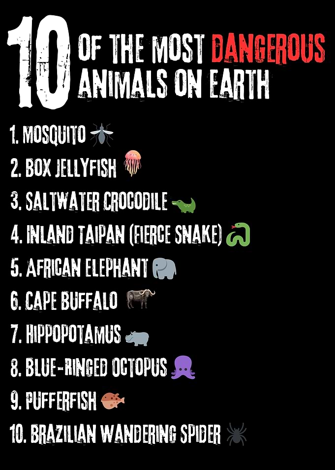 10 Most Dangerous Animals