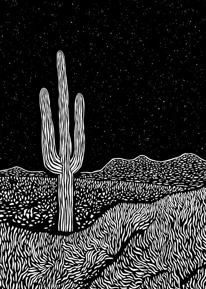 Cactus Under Stars