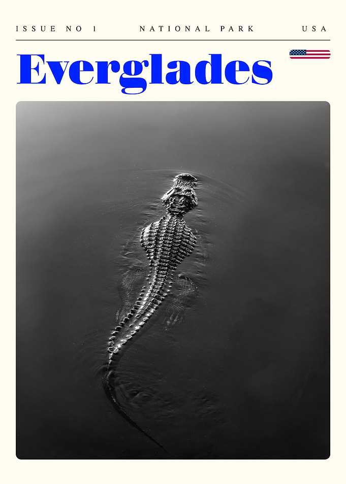 Everglades Travel Art Poster