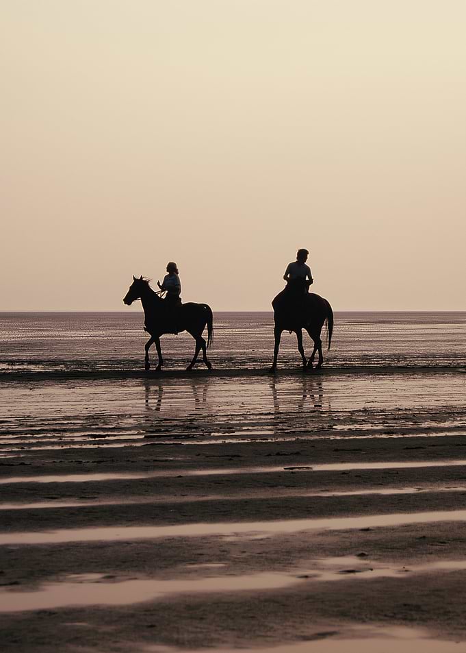 Ebbing Tides and Hoofprints