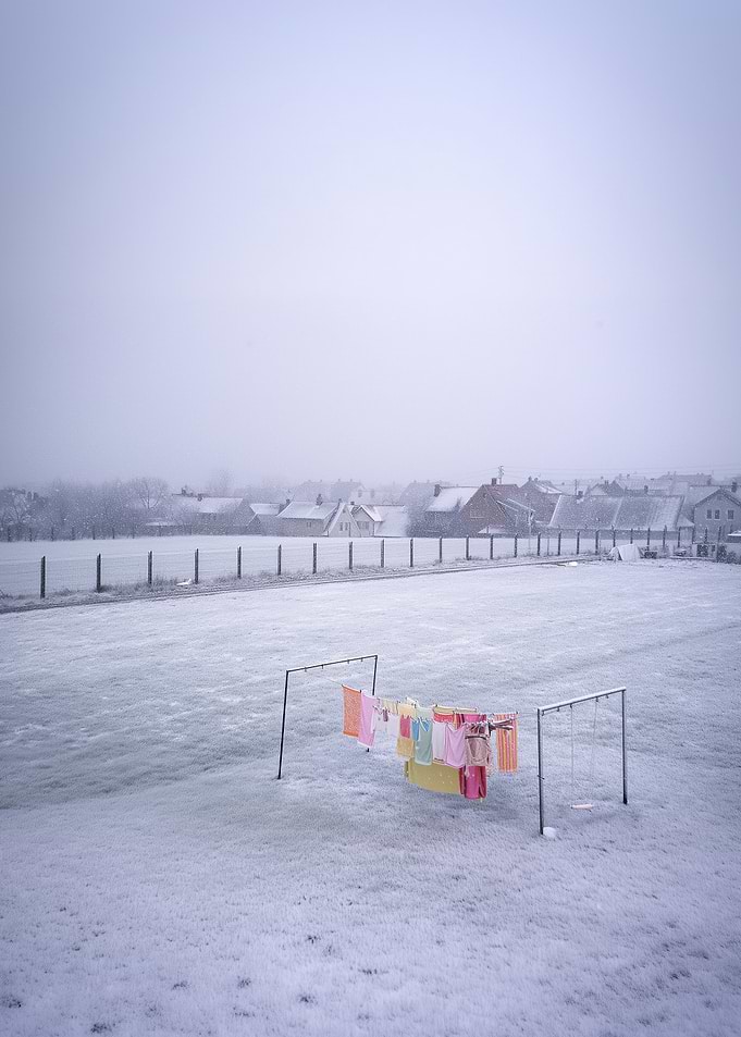 Color Amidst Snowfall