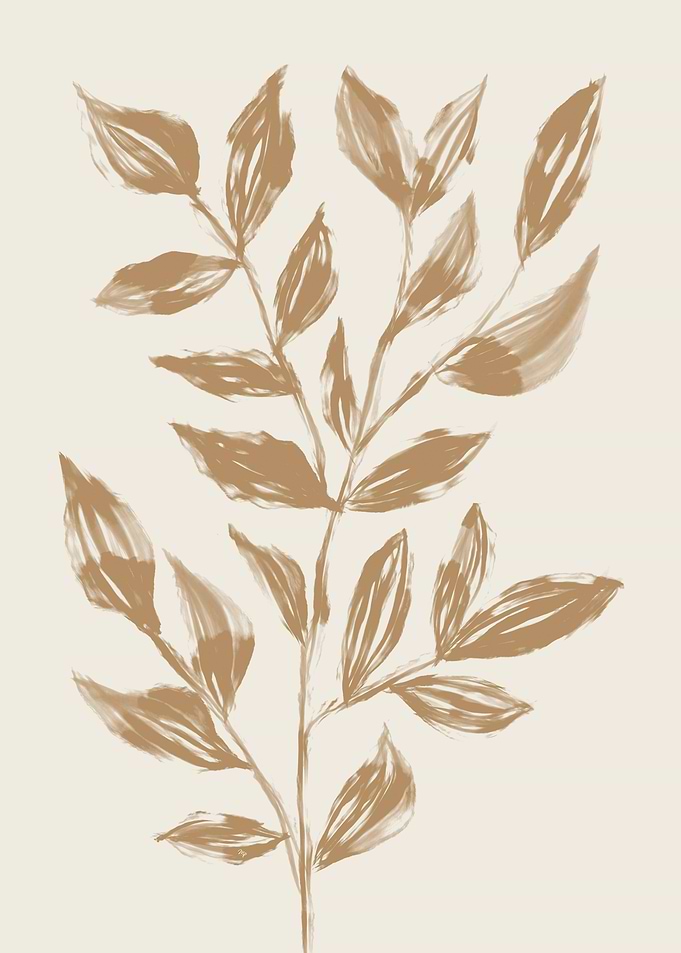 Mocha Leaf Plant Two