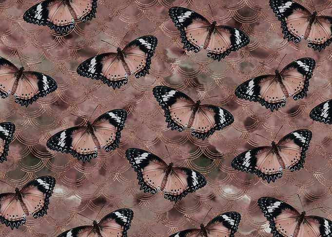 Rose Golden Butterfly Dance 1