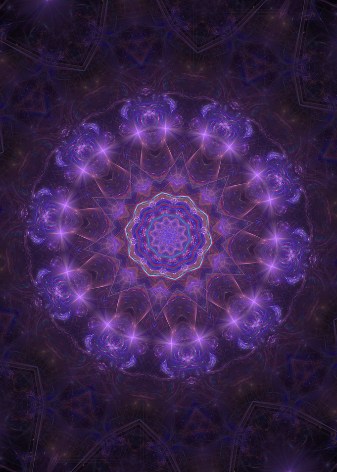 Purple Blooms