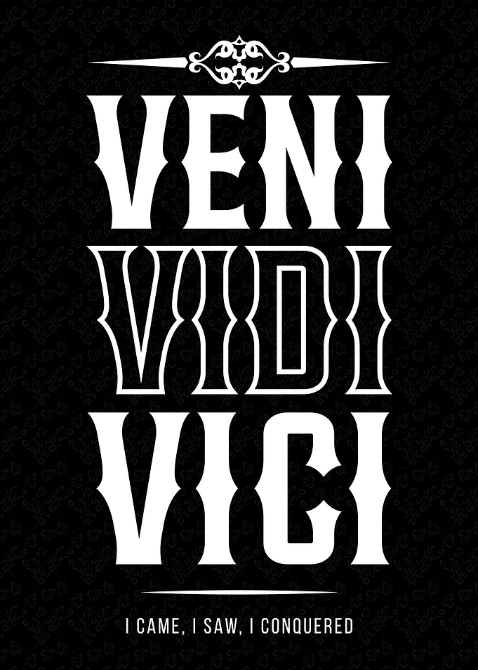 Veni Vidi Vici Quote