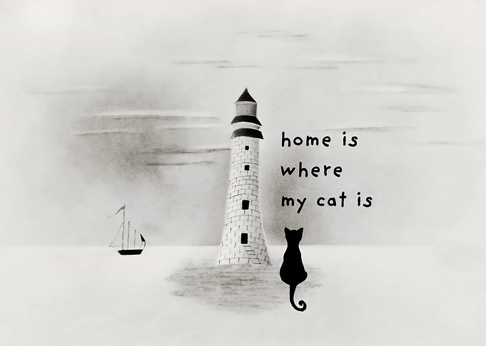 Home Is Where My Cat Is