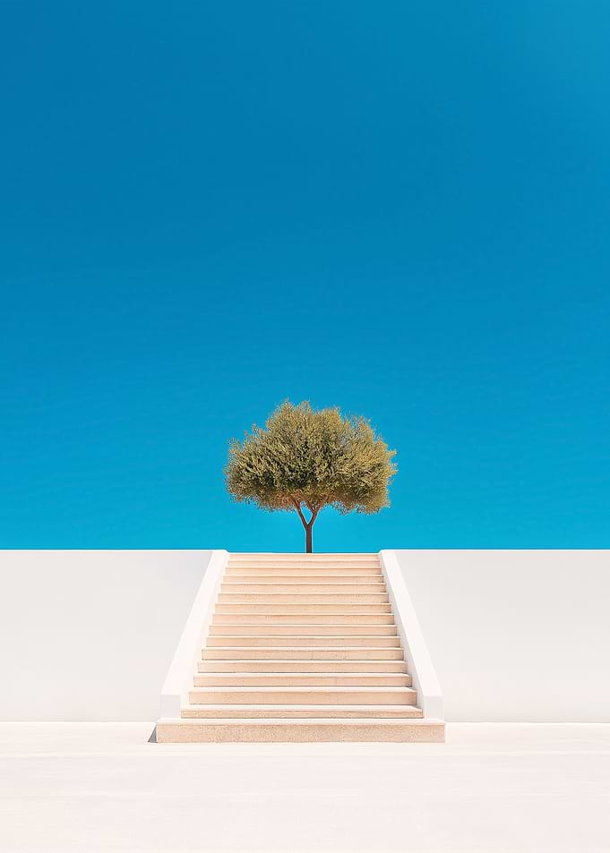 Minimalist landscape