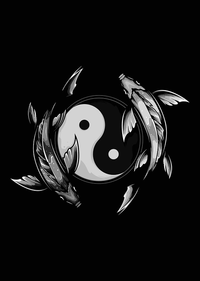 Yin Yang Koi Fish