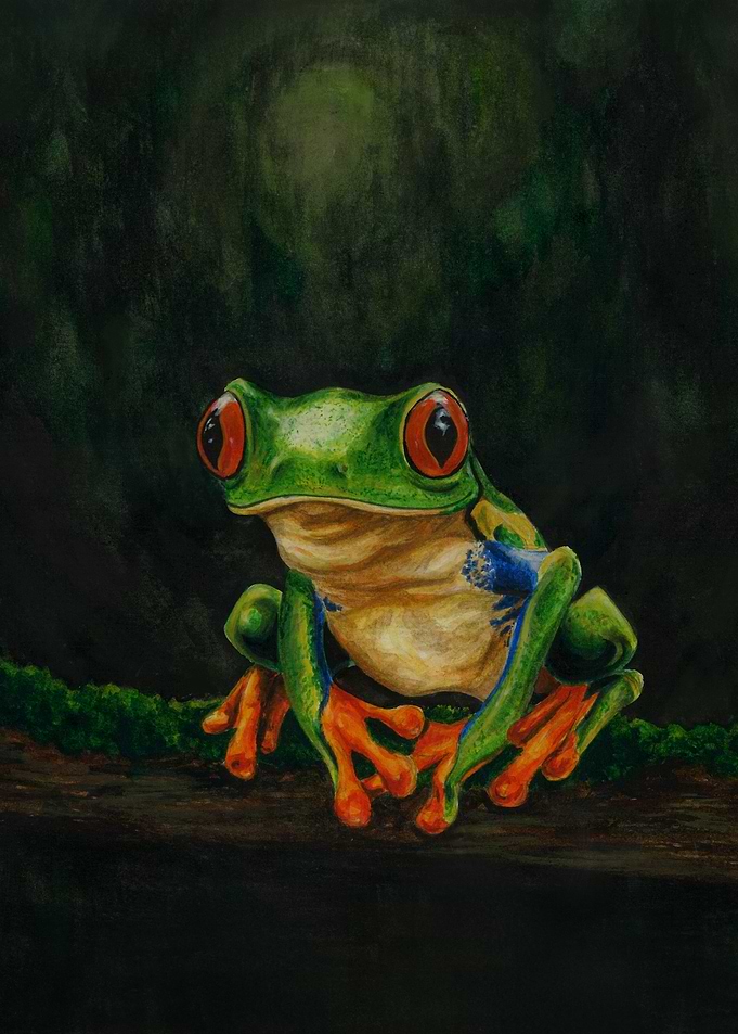 Red-Eyed Tree Frog