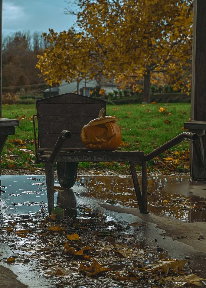 Pumpkin for Halloween