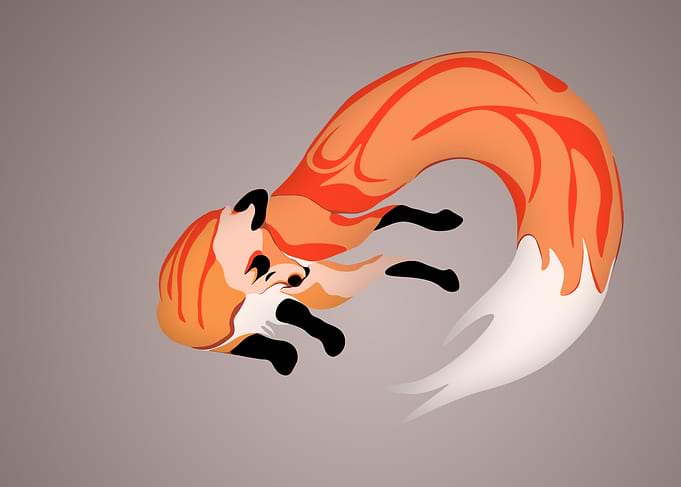 Jumping Fox