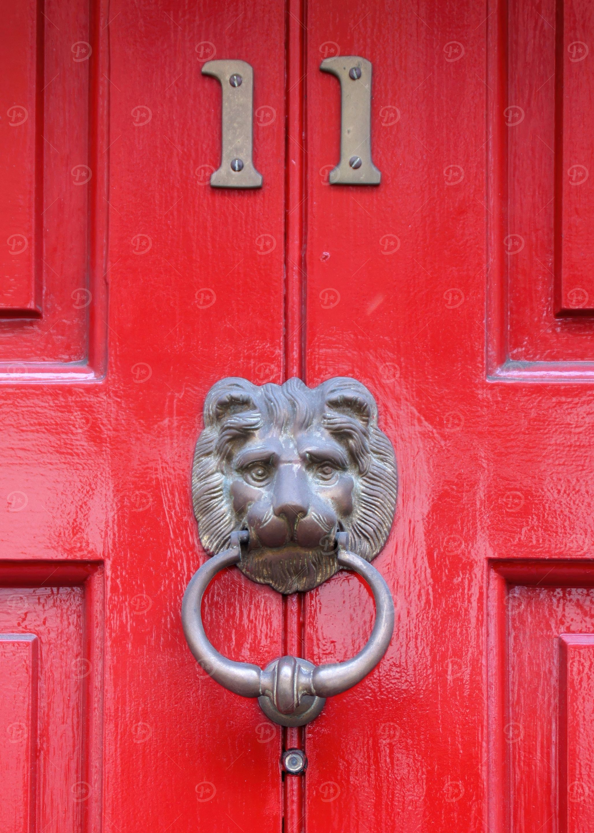 Royal Red Lion Knocker