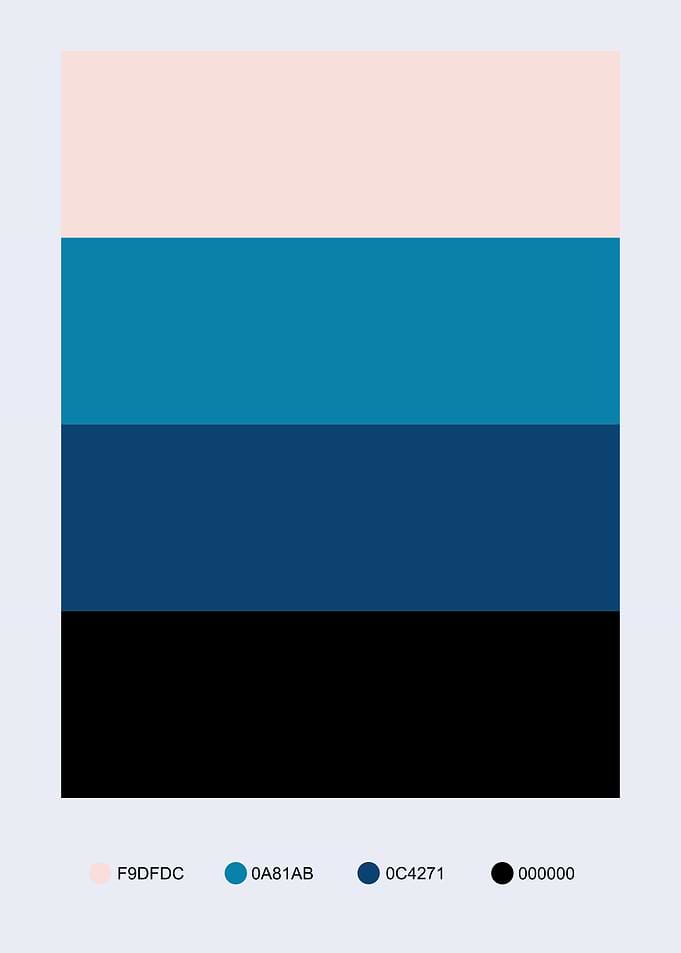 Color Palette: Blue, Black, Pink