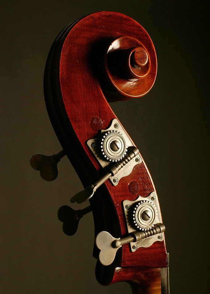 Double Bass Headstock