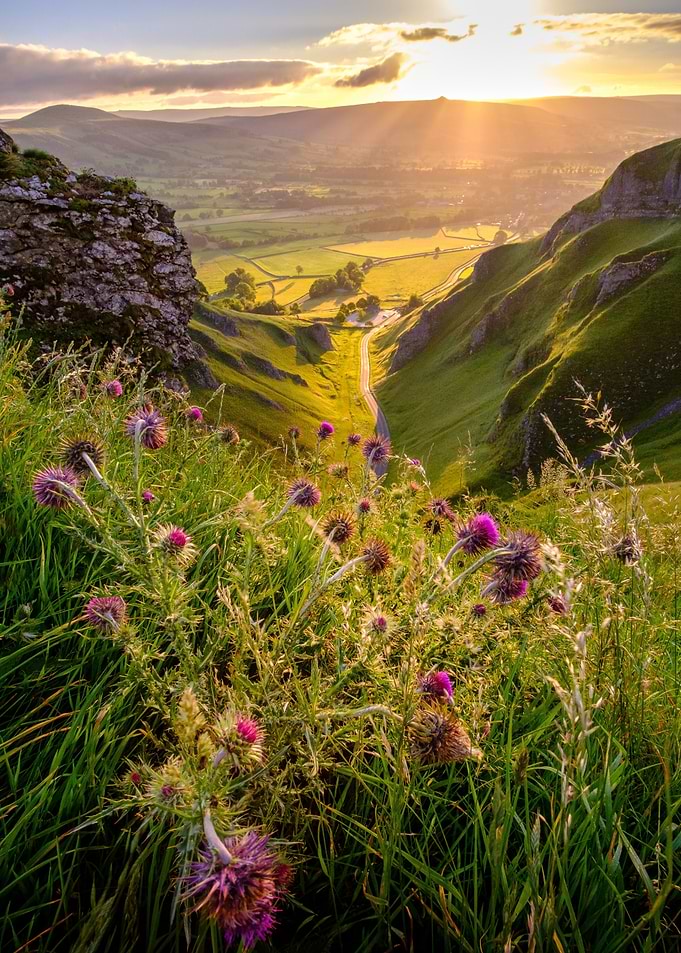 Sunset Valley View