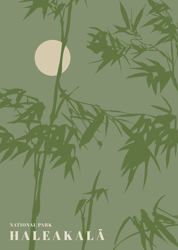 Haleakala National Park Poster
