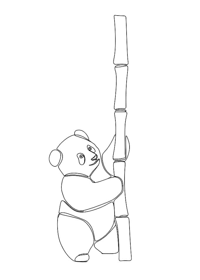 Panda and Bamboo Line Art