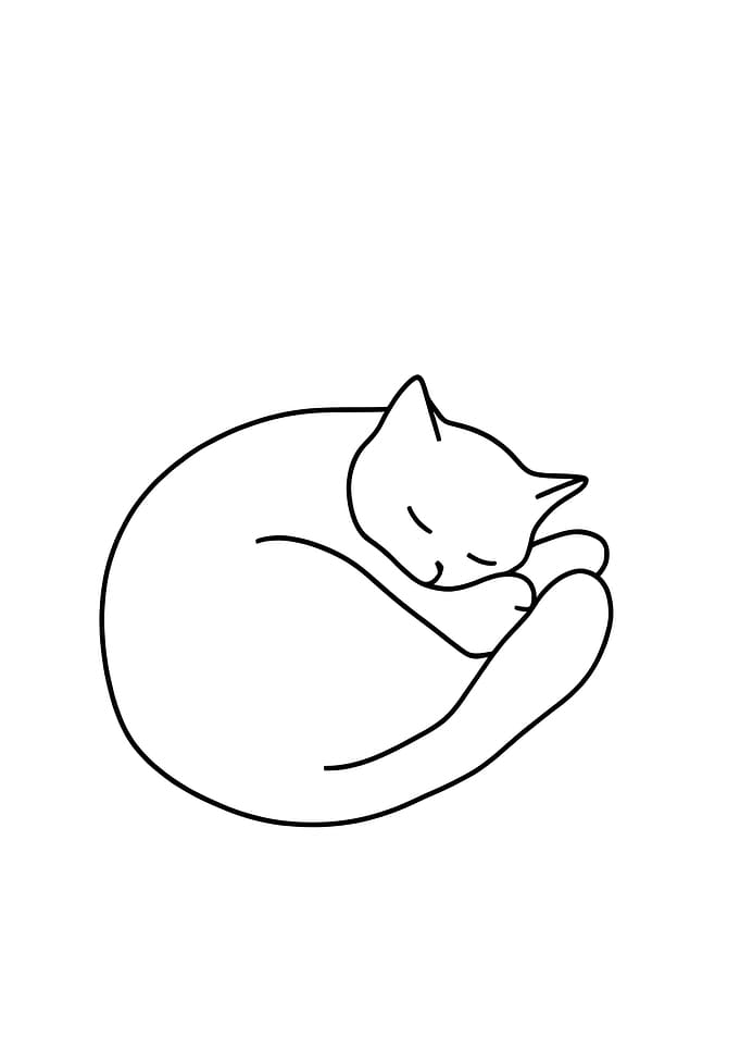 Sleeping Cat Line Art