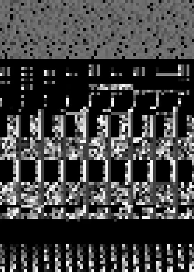 ntdll_3
