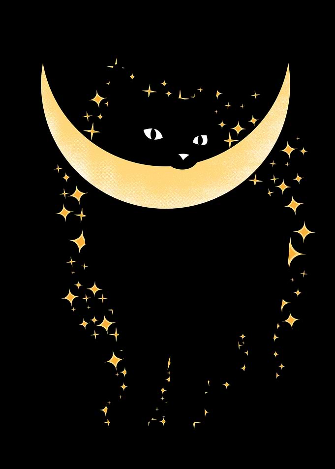 Black Cat Crescent Moon