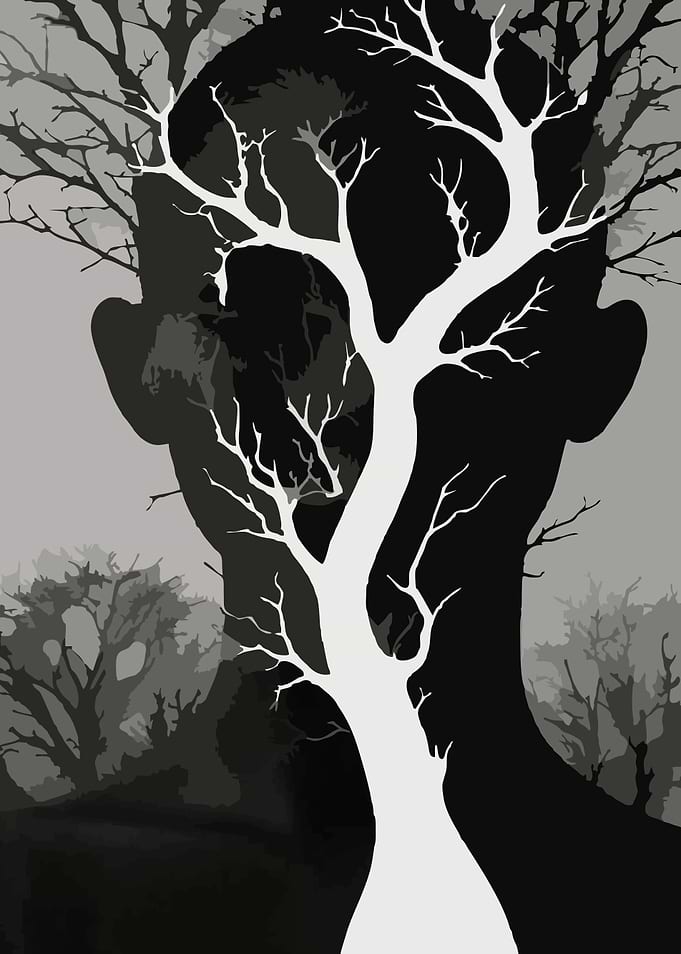 Tree and Silhouette