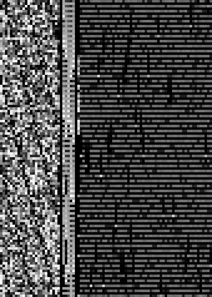 ntdll_1