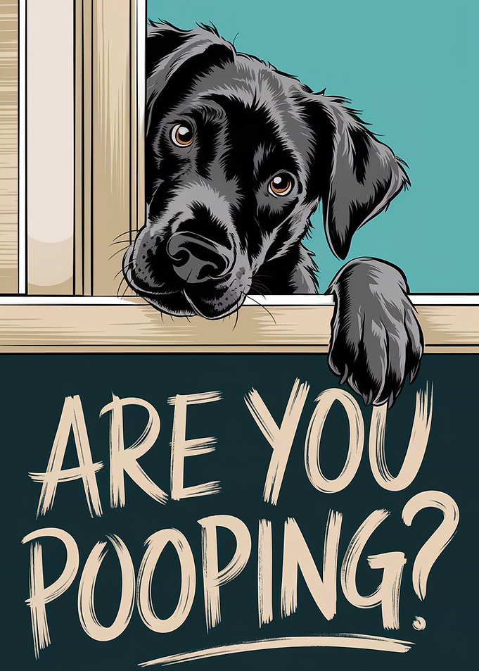Labrador Are you pooping