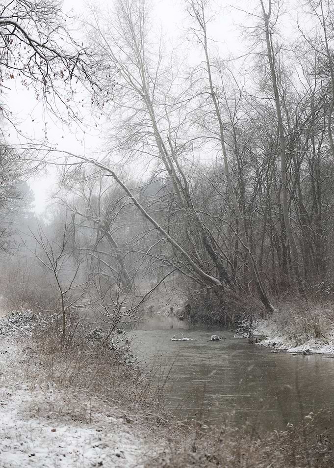 Snowy River in Winter