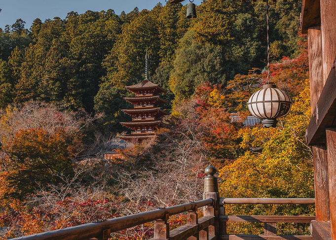 Japanese Pagoda in Autumn