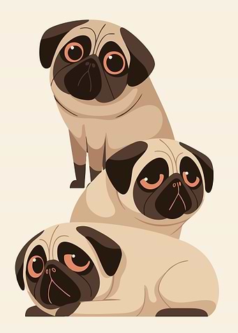 Three Cute Pugs Funny Minimalist Art Illustration