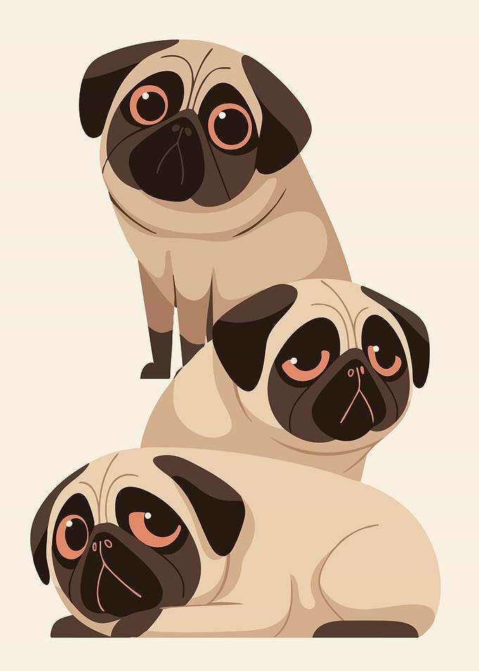 Three Cute Pugs Funny Minimalist Art Illustration