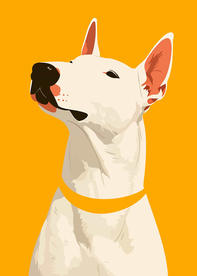 White Bull Terrier Portrait Minimalist Art