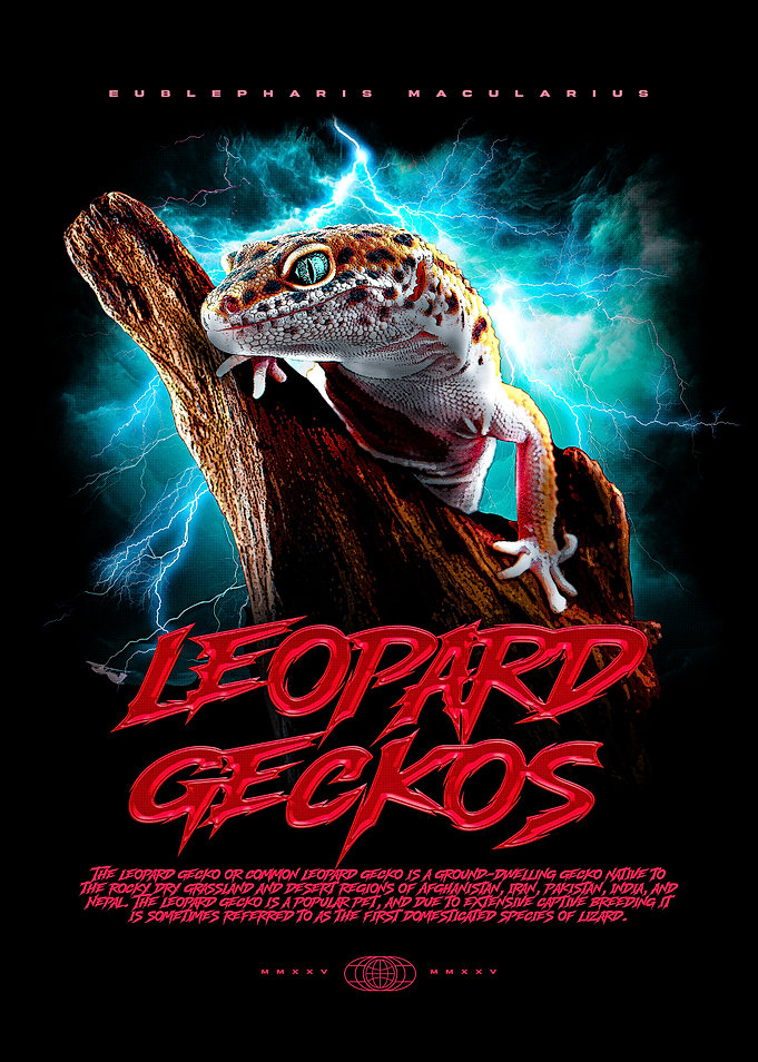 Leopard Gecko Poster