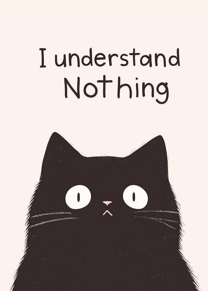 Black Cat Saying Nothing