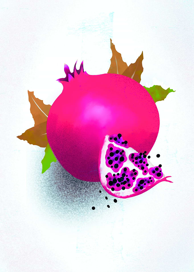 Bold Pomegranate – Vibrant Abstract Art
