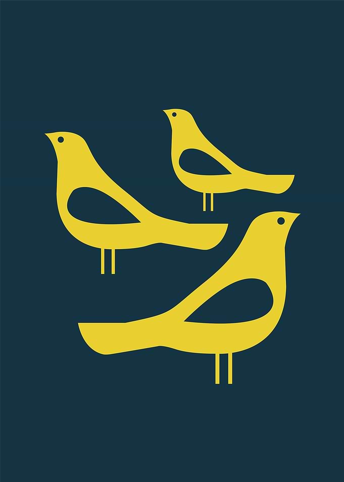 Three Yellow Birds