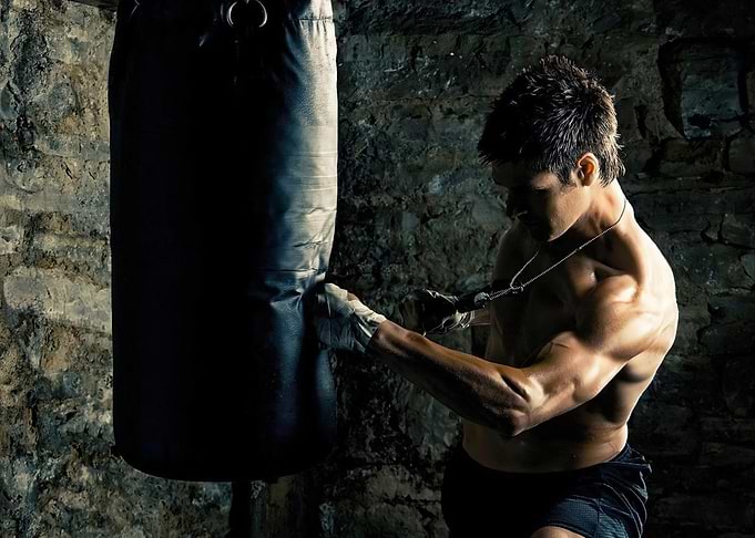 Boxer Training