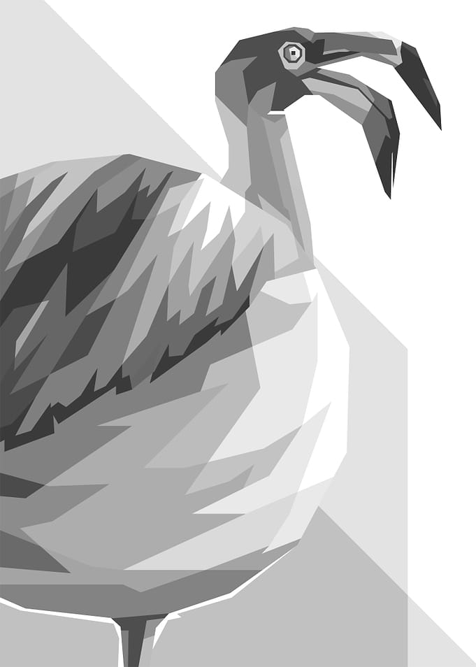 Geometric WPAP Ibis Illustration