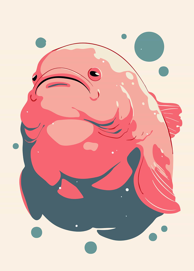 Funny Sad Blobfish Illustration Minimalist Art