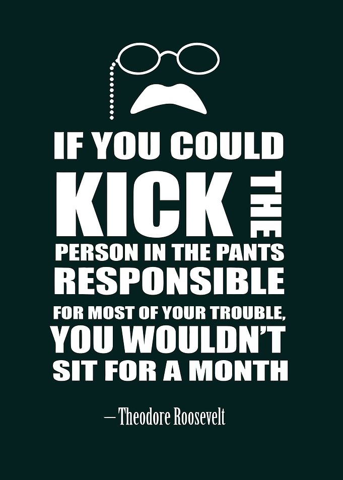 Theodore Roosevelt Quote