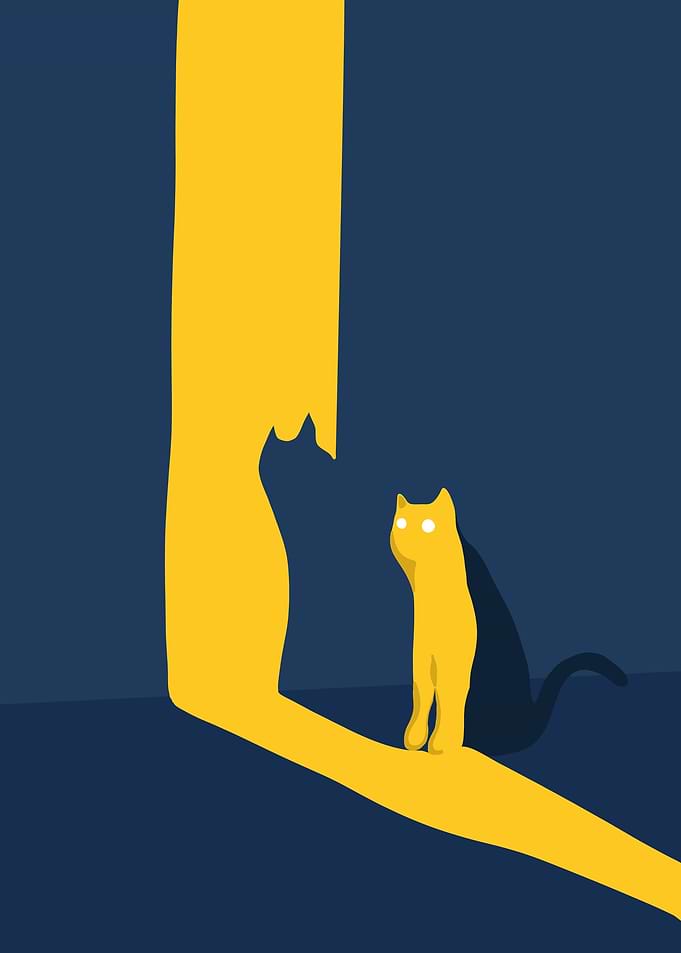 Cat and Shadow