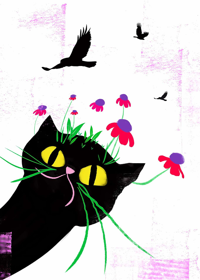 Playful Black Cat with Birds