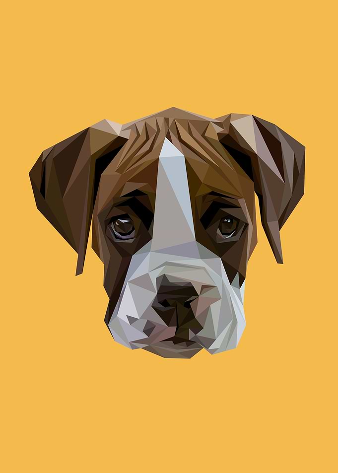 Abstract Boxer Dog Head Low Poly