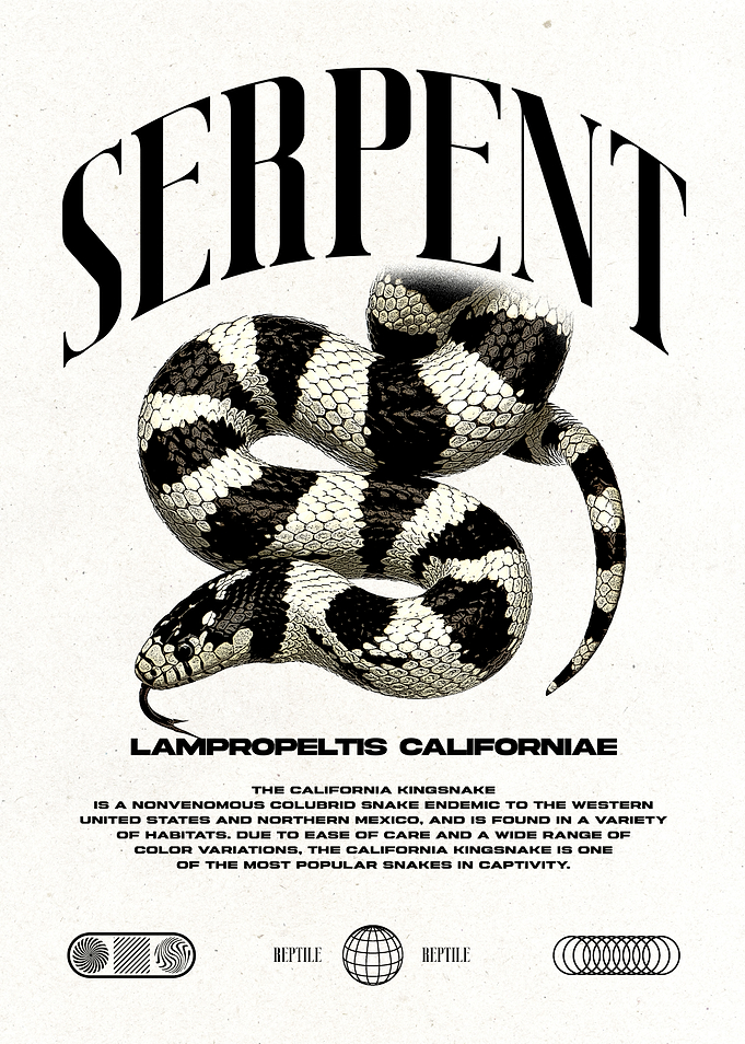 California Kingsnake Poster