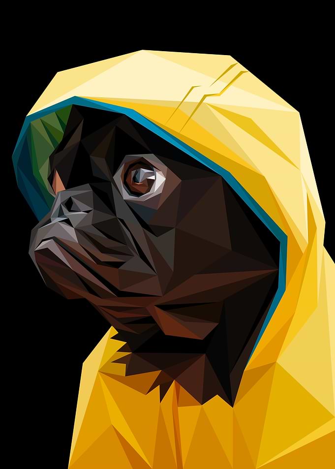 Abstract Black Pug Dog Yellow Hoodie