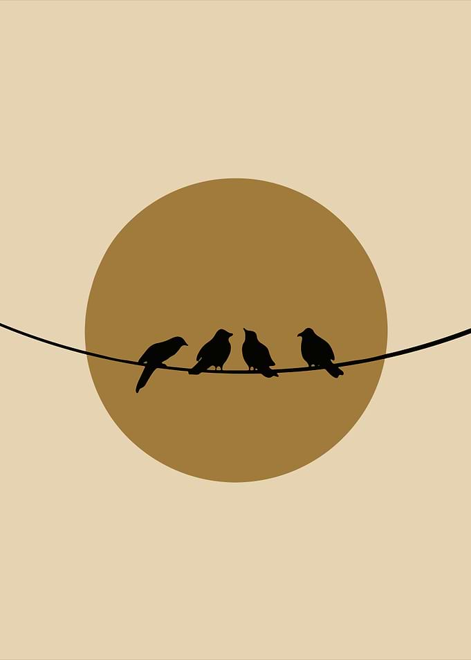 Birds on a Wire